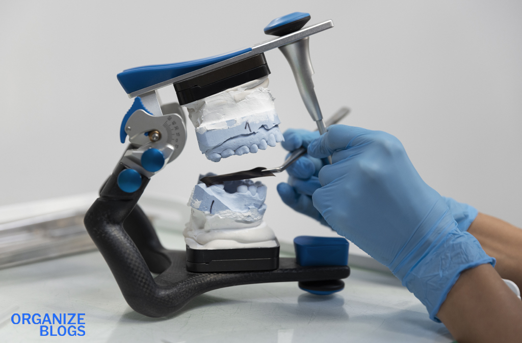 nerovet ai dental
