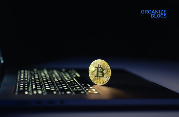 lessinvest.com crypto