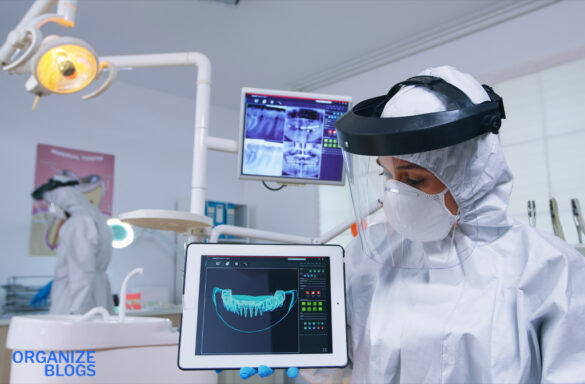nerovet ai dental